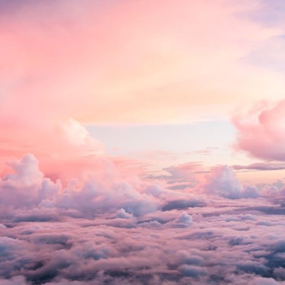 Meet your Posher, Addie